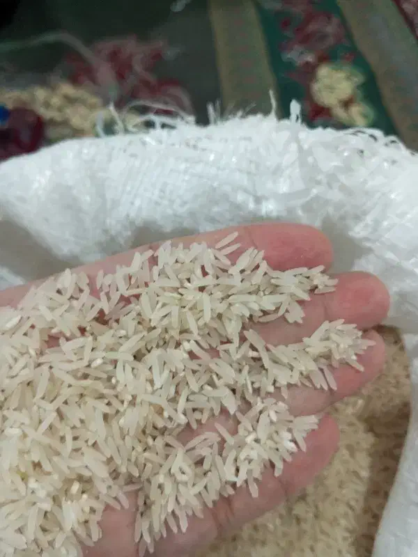 برنج‌فجر‌سوزنی‌90روزه|خوردنی و آشامیدنی|خان ببین, |دیوار