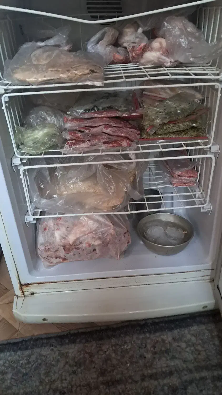 یخچال فریزر|یخچال و فریزر|فولادشهر, A1|دیوار