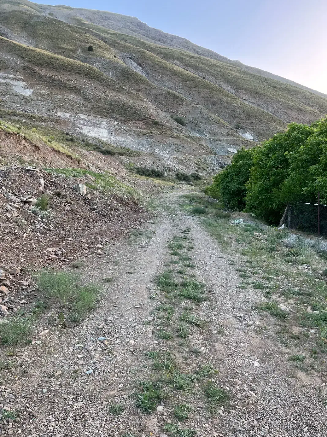 باغ۳۵۰متر جاده چالوس کیلومتر۳۵|فروش زمین و ملک کلنگی|آسارا, |دیوار