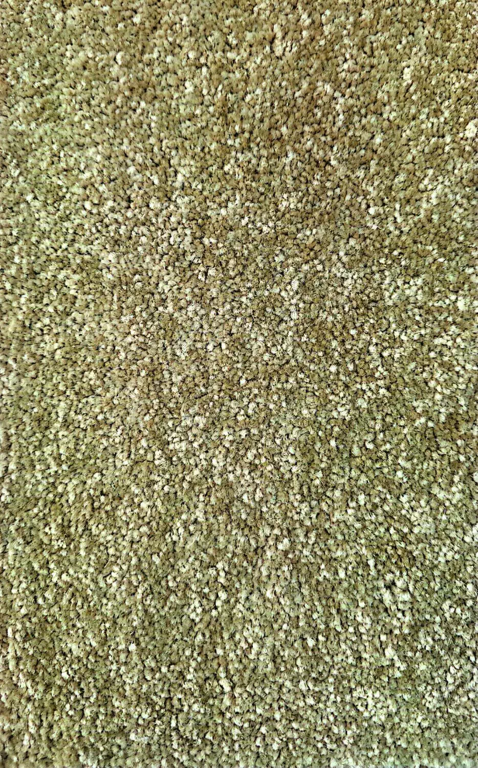 موکت پالاز|موکت|کازرون, |دیوار