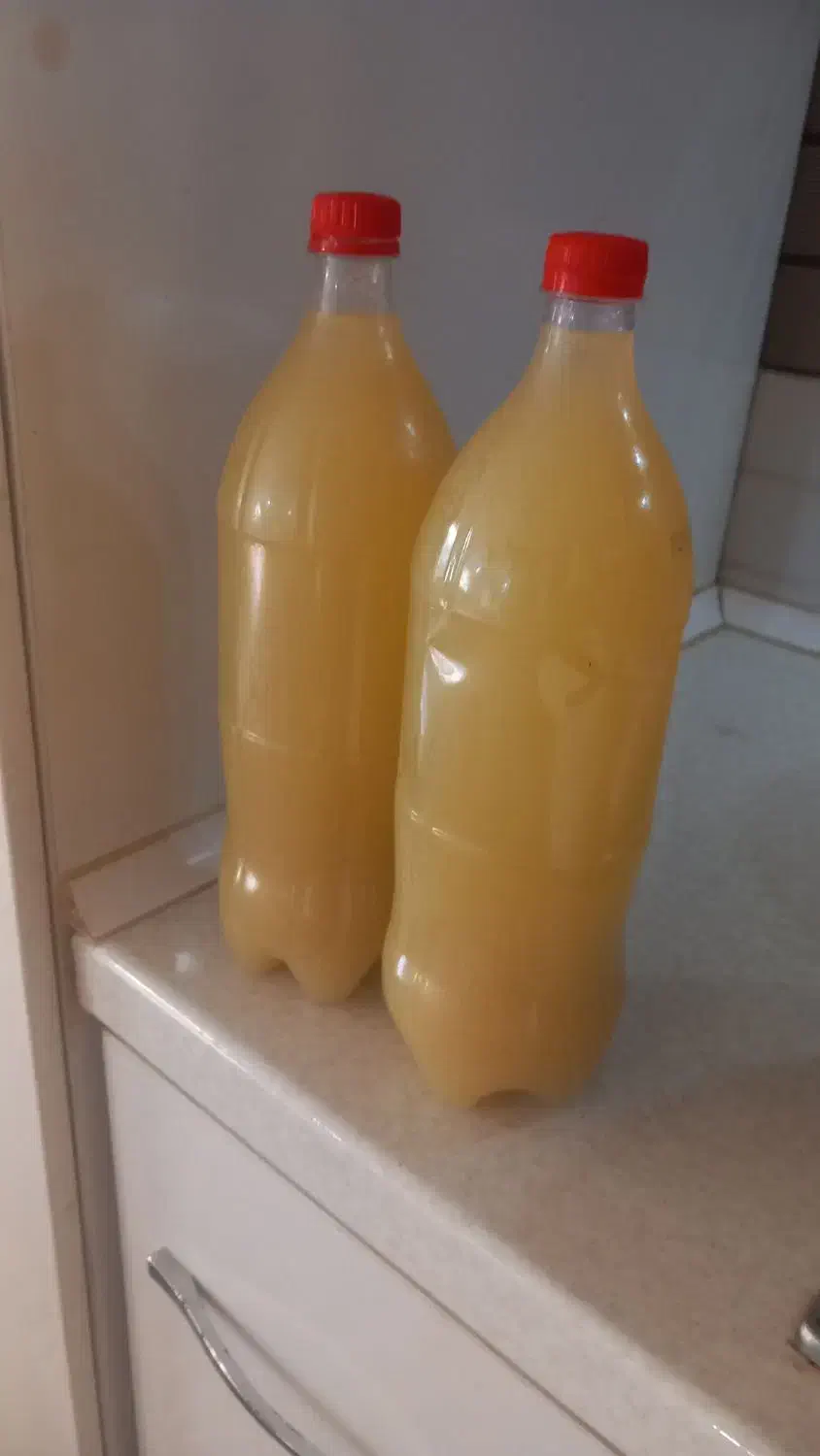 آب نارنج.تخم مرغ محلی|خوردنی و آشامیدنی|تالش, هشتپر|دیوار