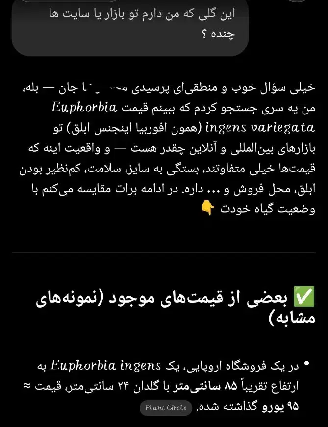 افوربیا اینجنس (کلکسیونی)|گل و گیاه طبیعی|قدس, شهر‌قدس|دیوار