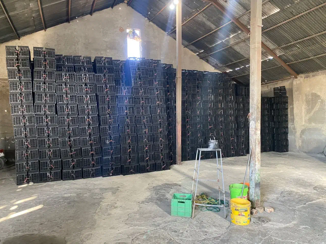 کارگر ساده|استخدام صنعتی، فنی، مهندسی|بروجرد, |دیوار