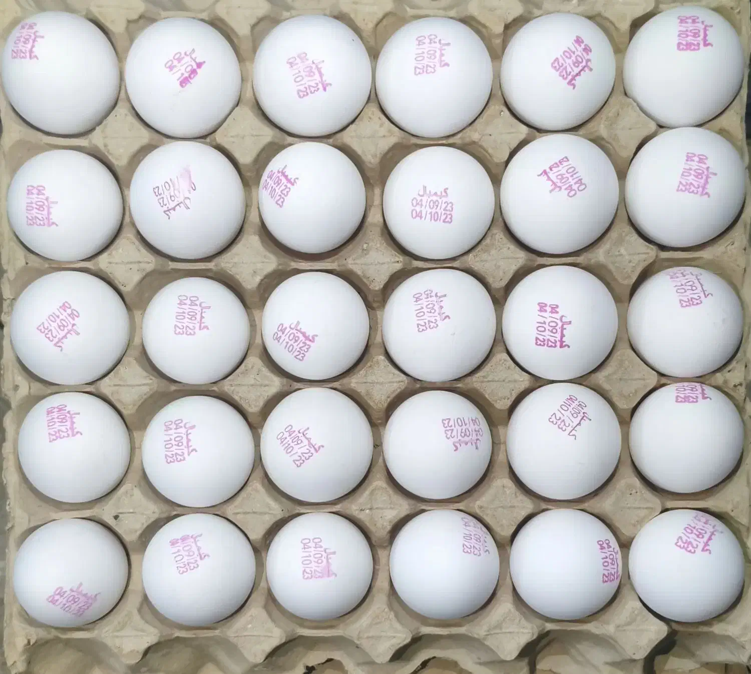 پخش مویرگی و عمده تخممرغ تازه و با کیفیت|خوردنی و آشامیدنی|تهران, مشیریه|دیوار