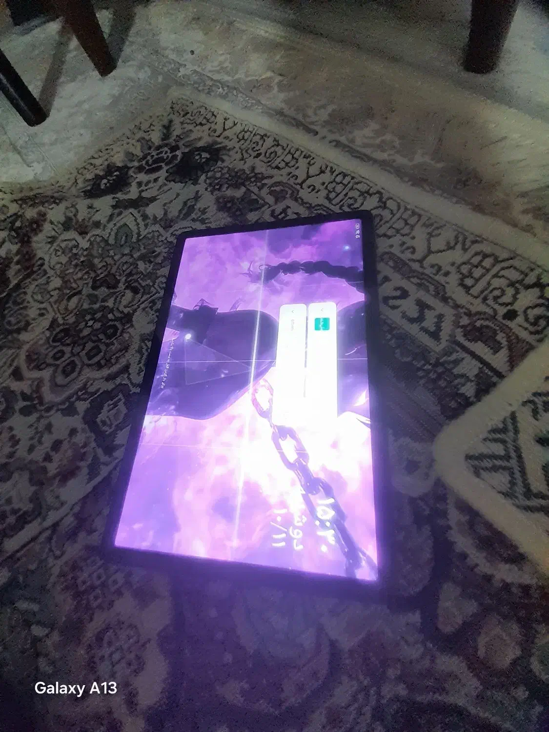 تبلت شیامی|تبلت|کلاله, |دیوار