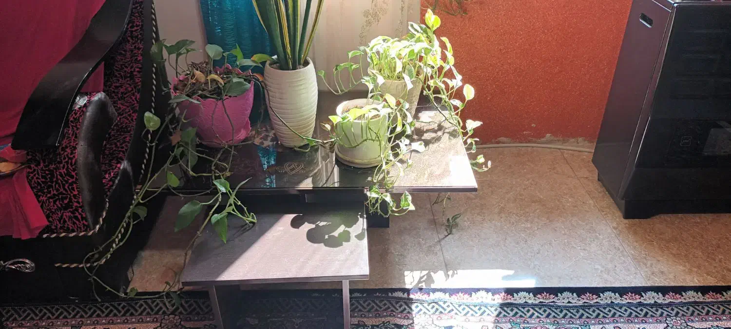 جلومبلی میز عسلی|مبلمان خانگی و میز عسلی|لاهیجان, خالو باغ|دیوار