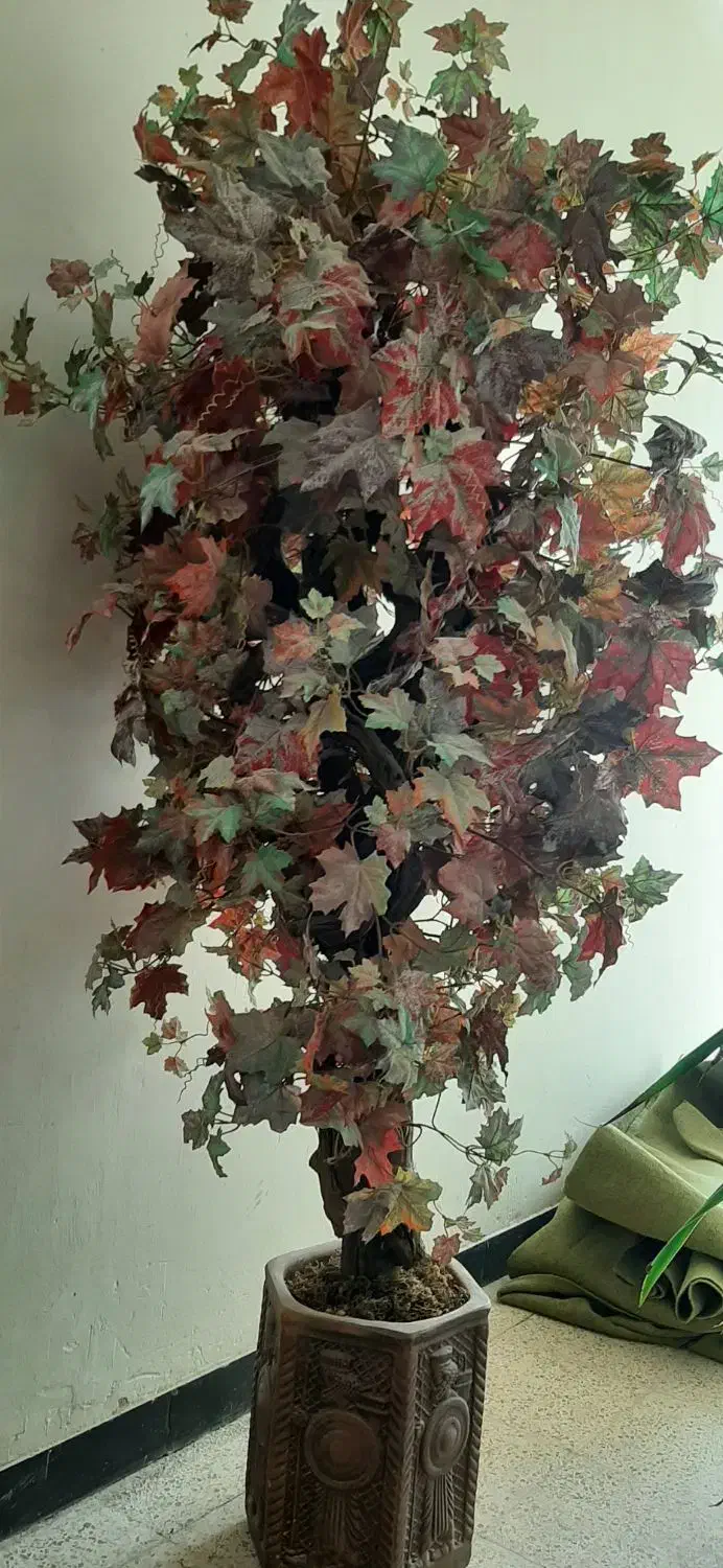 درخت بزرگ پاییزی.|گل مصنوعی|اصفهان, عاشق‌آباد|دیوار