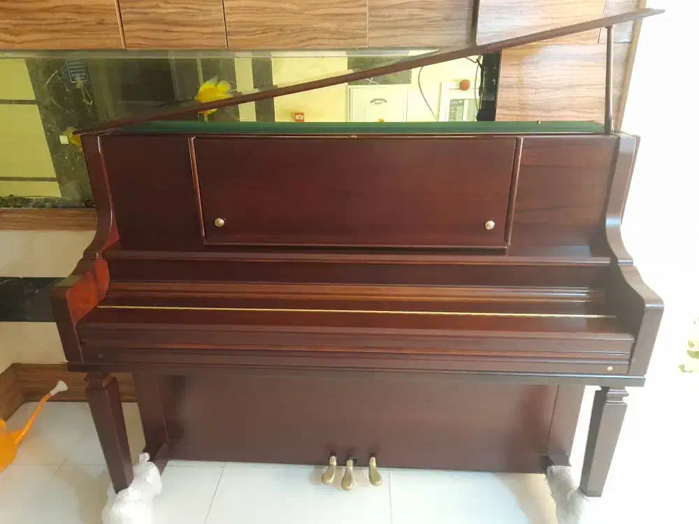 پیانو کره ای نو|پیانو، کیبورد، آکاردئون|اصفهان, دشتستان|دیوار
