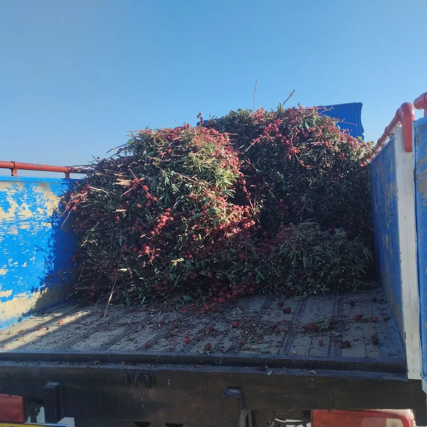 حمل نقل بار با ایسوزو اثاث کشی جابه جایی|خدمات حمل و نقل|مسجد سلیمان, |دیوار