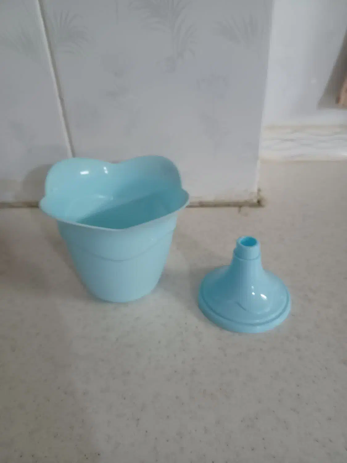 گلدان پلاستیکی|گل و گیاه طبیعی|اصفهان, طاحونه|دیوار