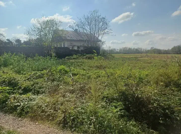 زمین ۴۰۰ متر باغی داخل طرح/ اقساطی/ اطراف کوچصفهان|فروش خانه و ویلا|رشت, بلوار گیلان|دیوار