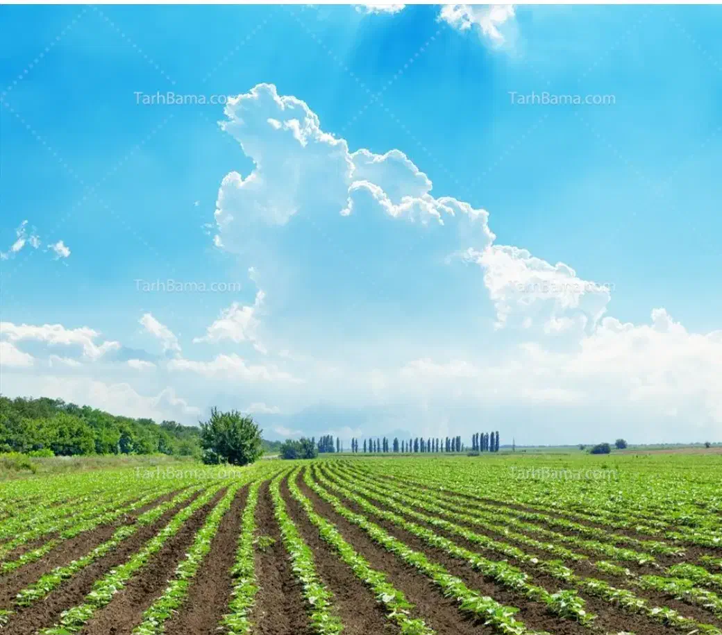 زمین کشاورزی|فروش زمین و ملک کلنگی|حبیب آباد, |دیوار