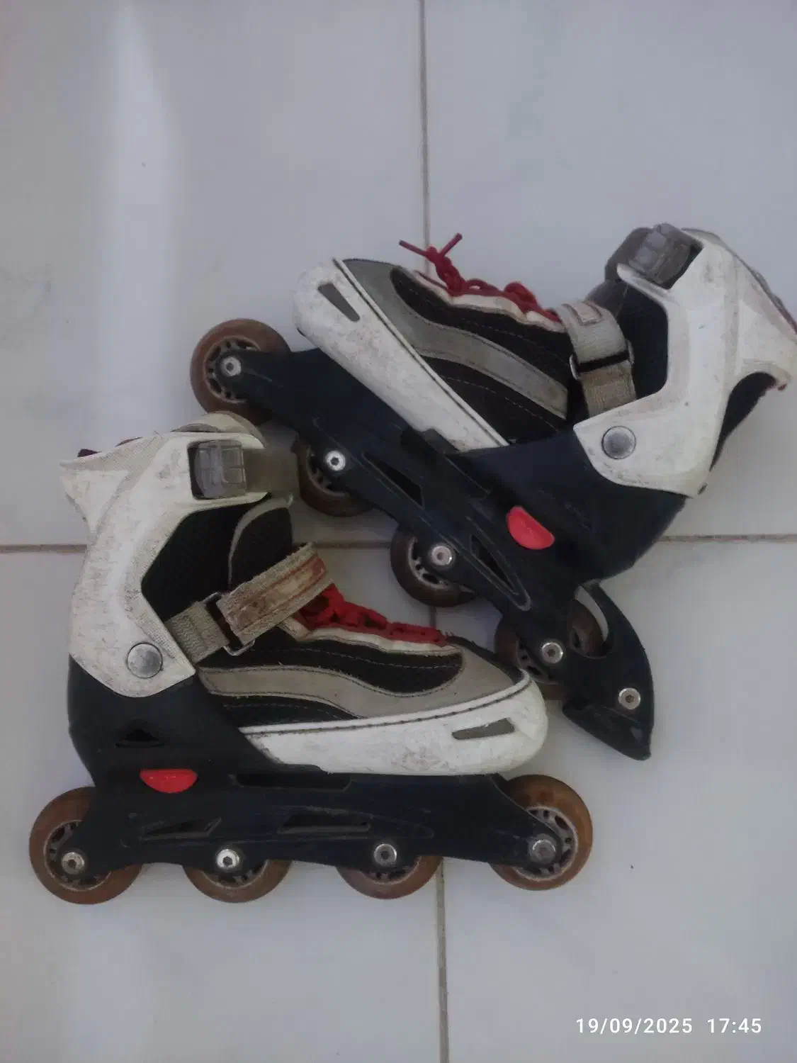 اسکیت|دوچرخه، اسکیت، اسکوتر|بیرجند, |دیوار