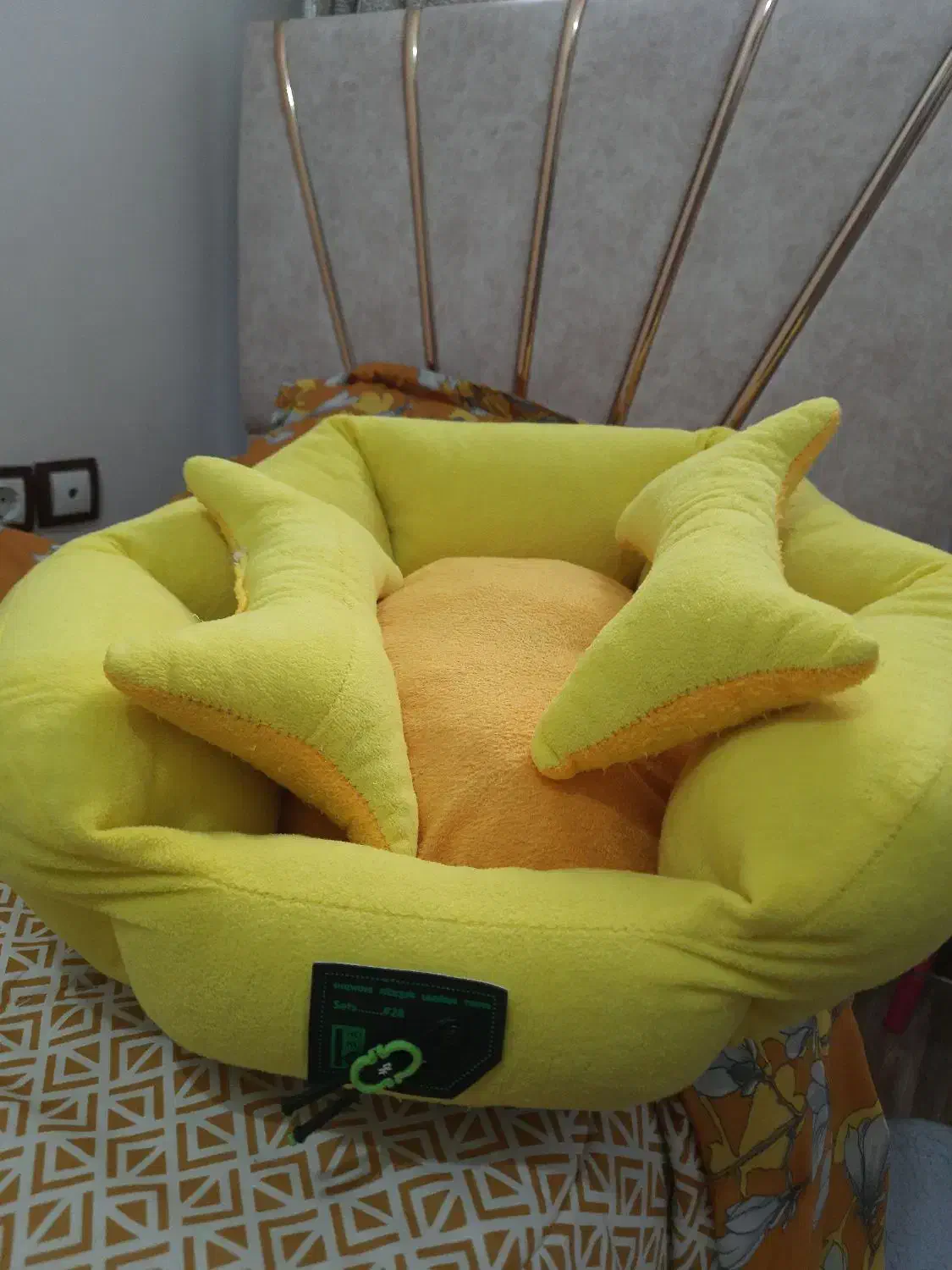 باکس حیوانات|لوازم جانبی حیوانات|رشت, پیرسرا|دیوار