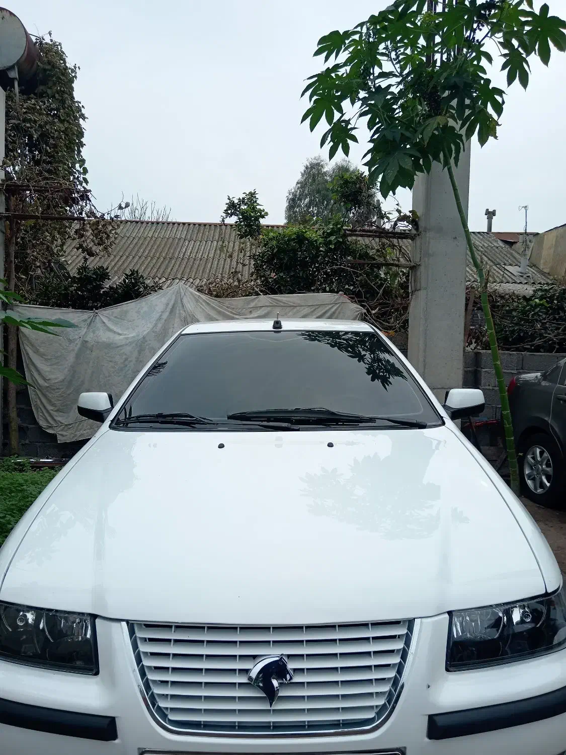 سمندEF7دوگانه کارخانه سفارشی تکبرگ سندبیرنگ بیضربه|خودرو سواری و وانت|رشت, گلسار|دیوار