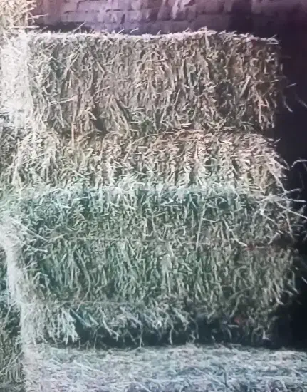 یونجه|لوازم جانبی حیوانات|بوئین زهرا, |دیوار