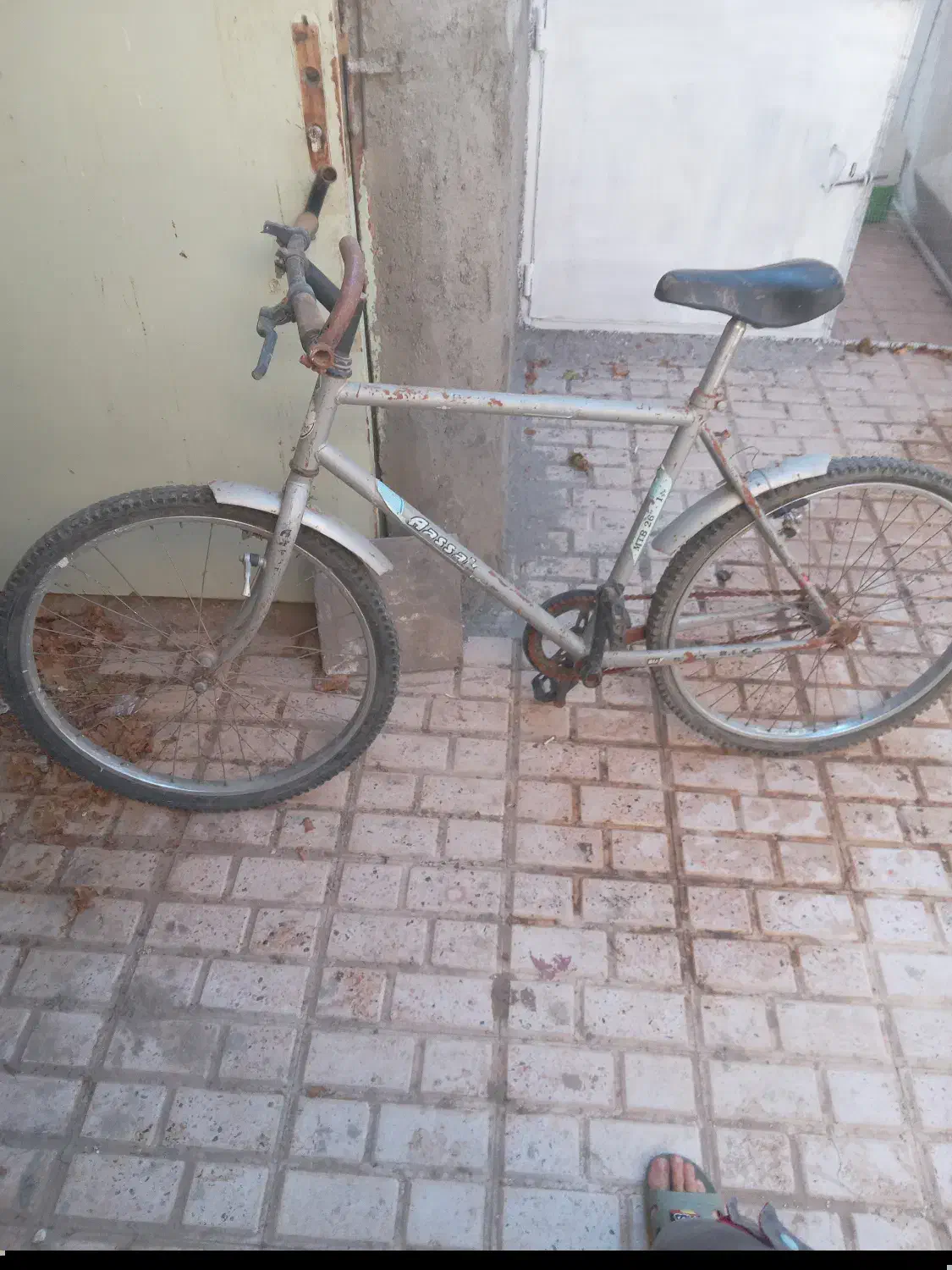 دوچرخه|دوچرخه، اسکیت، اسکوتر|فردوس (خراسان), |دیوار