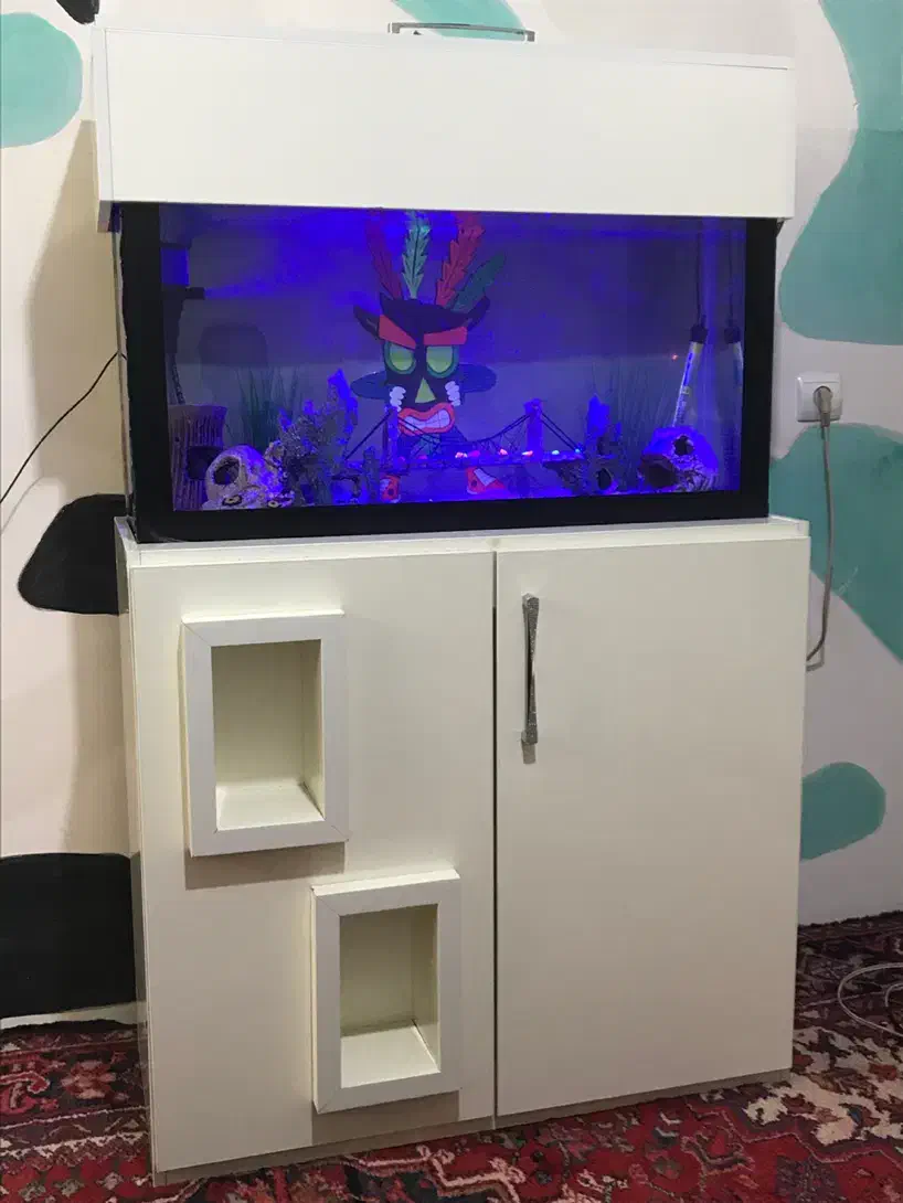 آکواریوم|ماهی|میانه, |دیوار