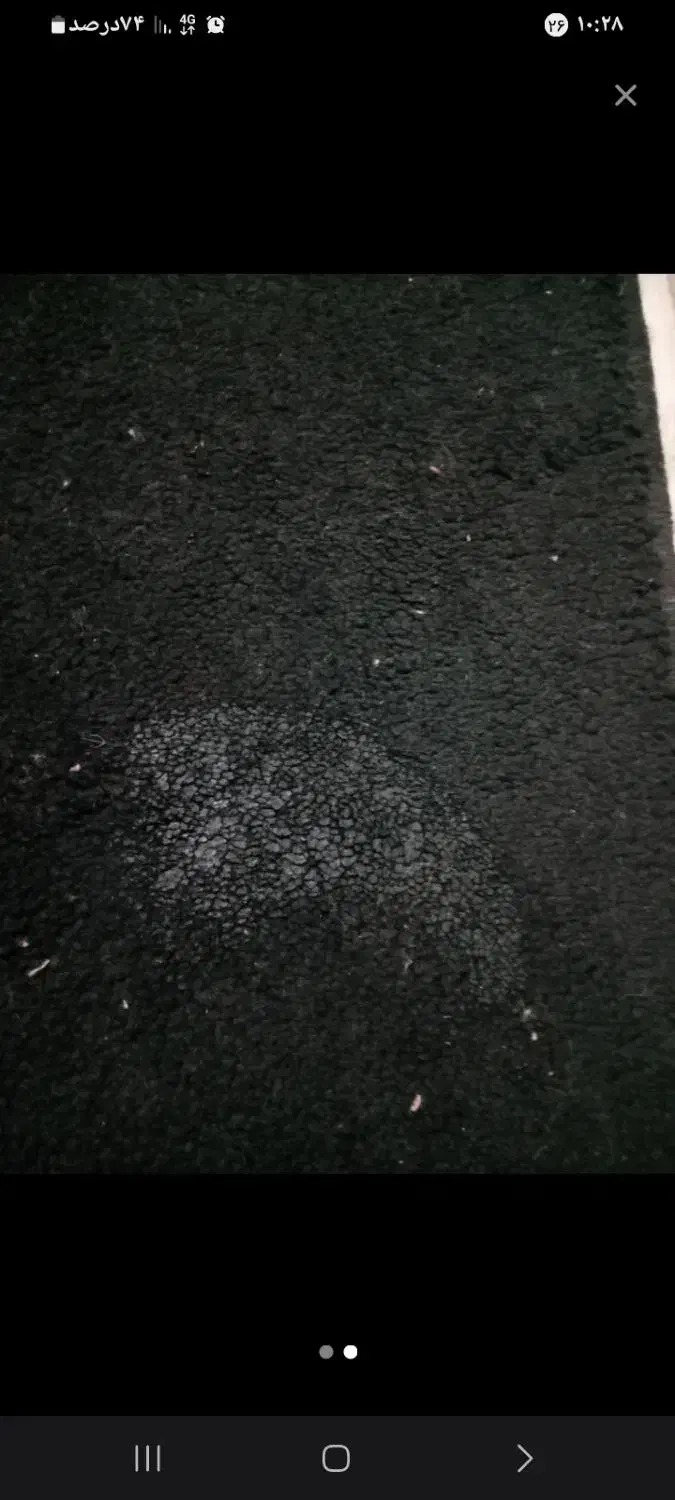 فرش۶ متری|فرش|پیشوا, |دیوار