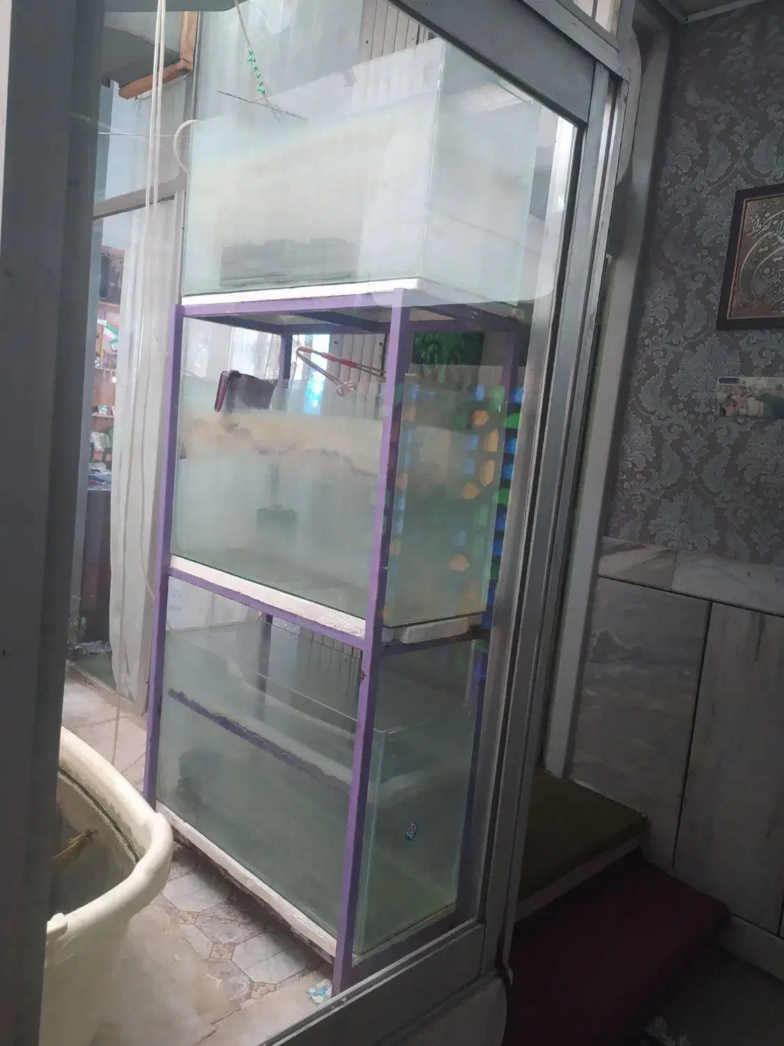 فروش ویژه پایه وآکواریوم برای شب عید|ماهی|خمینیشهر, |دیوار