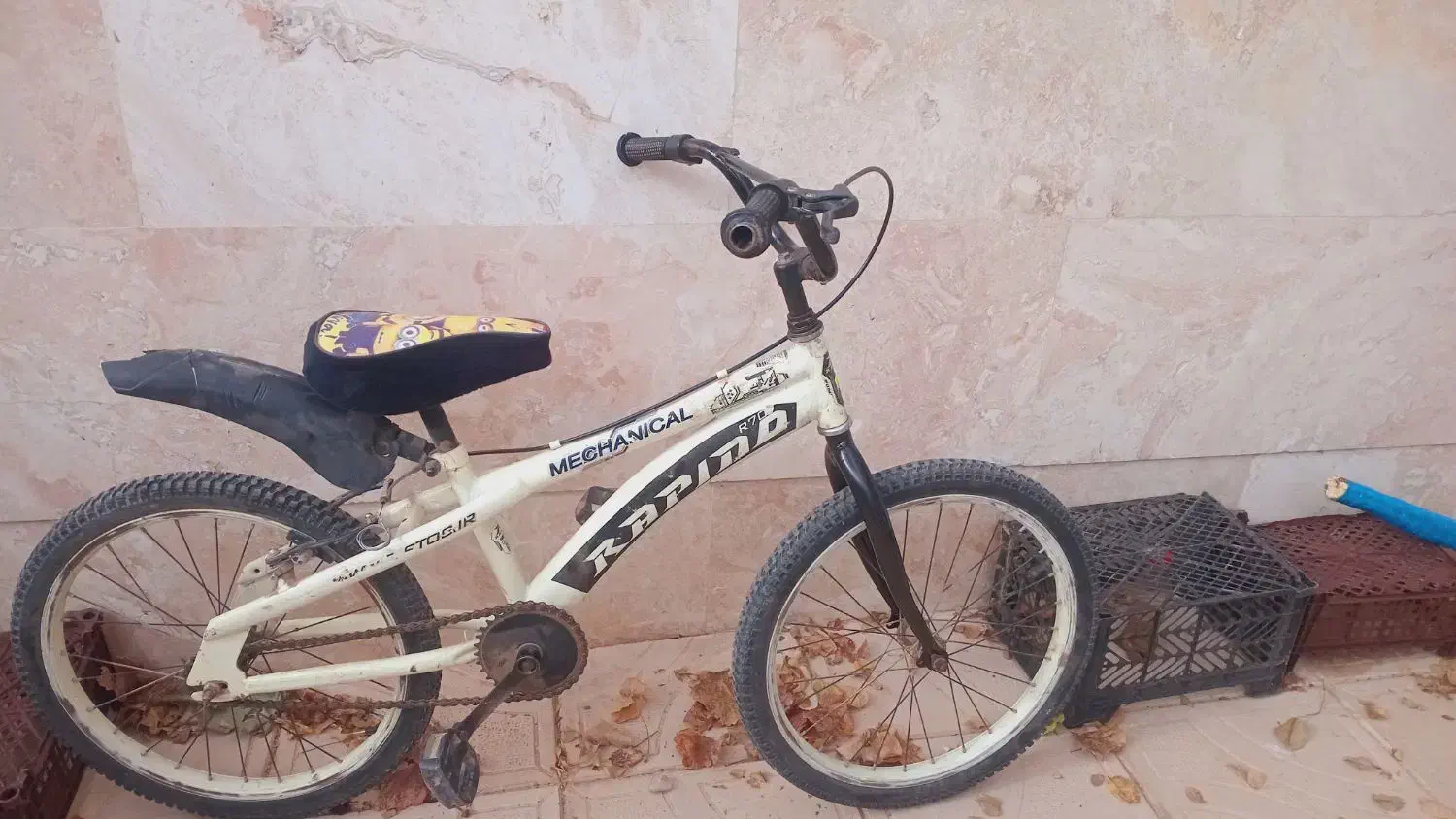 دوچرخه ۲۰|دوچرخه، اسکیت، اسکوتر|اسفراین, |دیوار