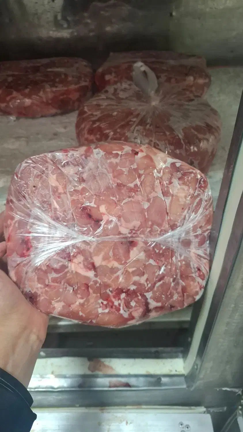 بچه فیله      اسکلت قلم کمر قفسه.      پا مرغ|عمدهفروشی|پردیس, شهرک صنعتی خرمدشت فاز ۷|دیوار