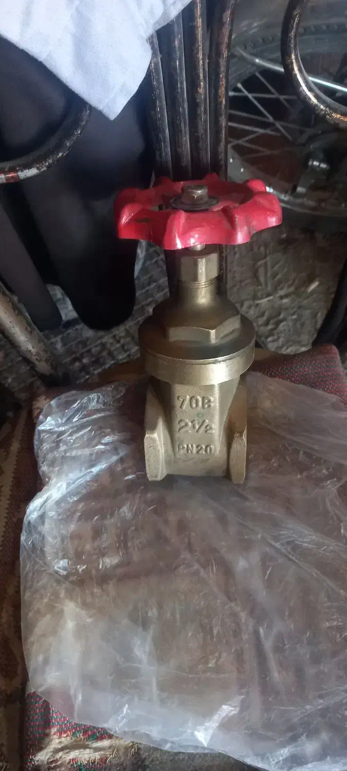 شیر فرمونی دکوری درحد|کلکسیون اشیاء عتیقه|ایلخچی, |دیوار