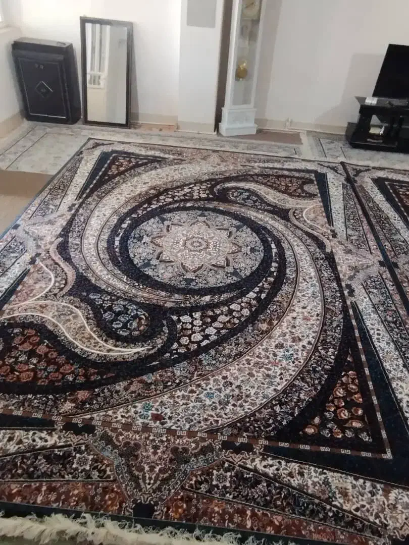 دو عدد فرش  دوازده متری دست بافت گونه|فرش|کوهدشت, |دیوار