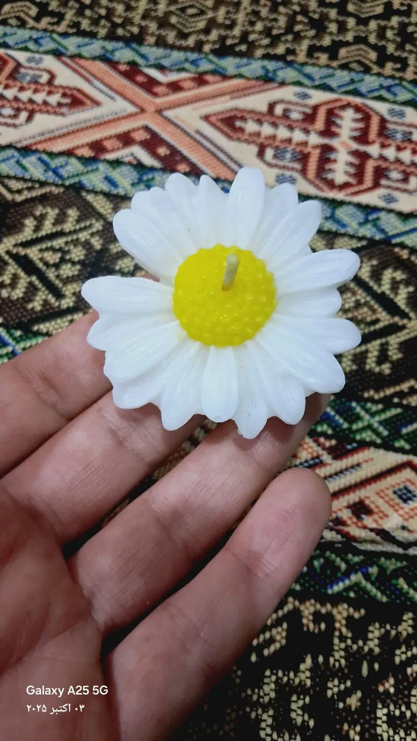 بدون بو|صنایع دستی و سایر لوازم تزئینی|طارم (زنجان), |دیوار