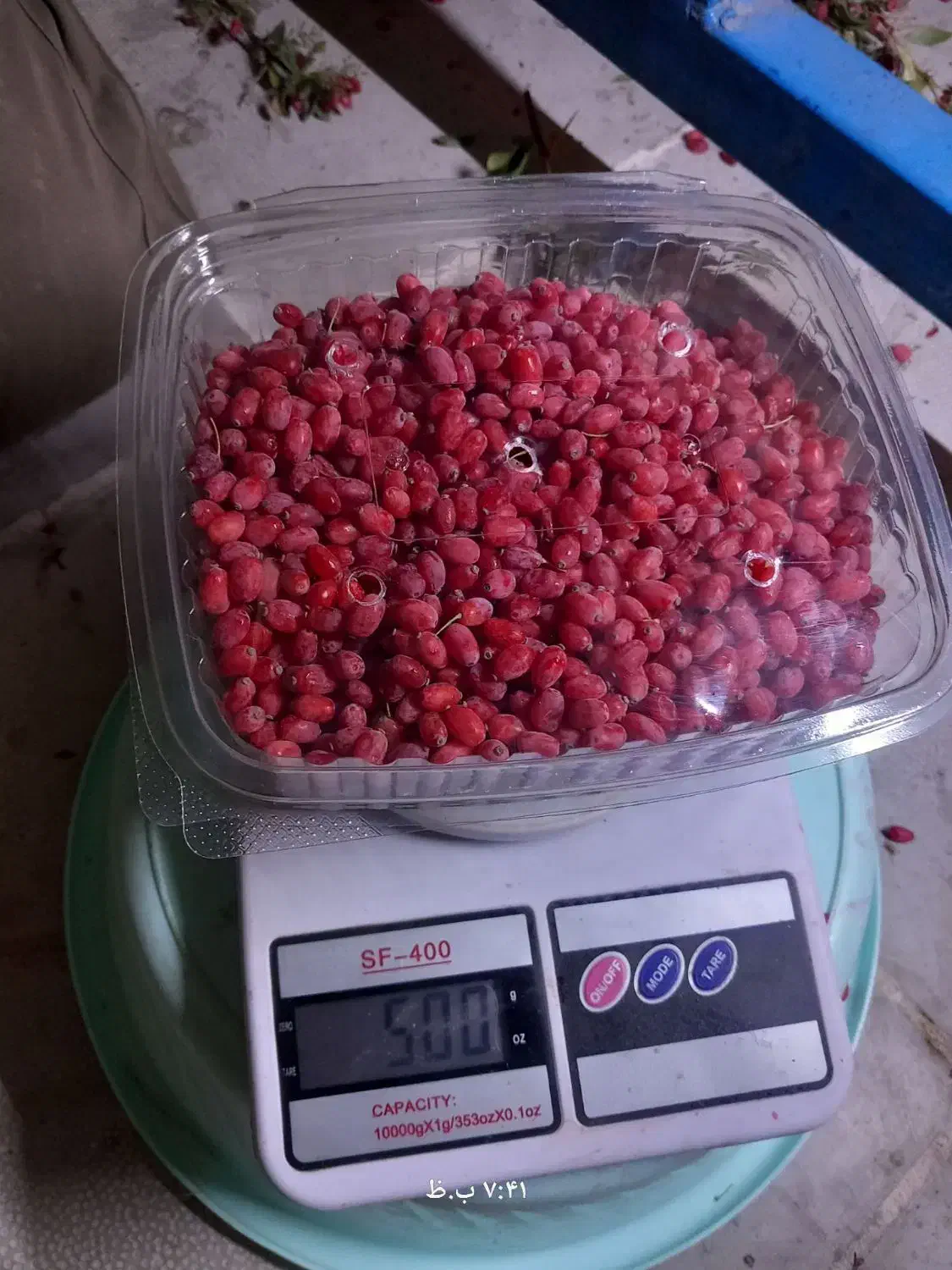 زرشک تازه دانه شده|خوردنی و آشامیدنی|قهستان, |دیوار