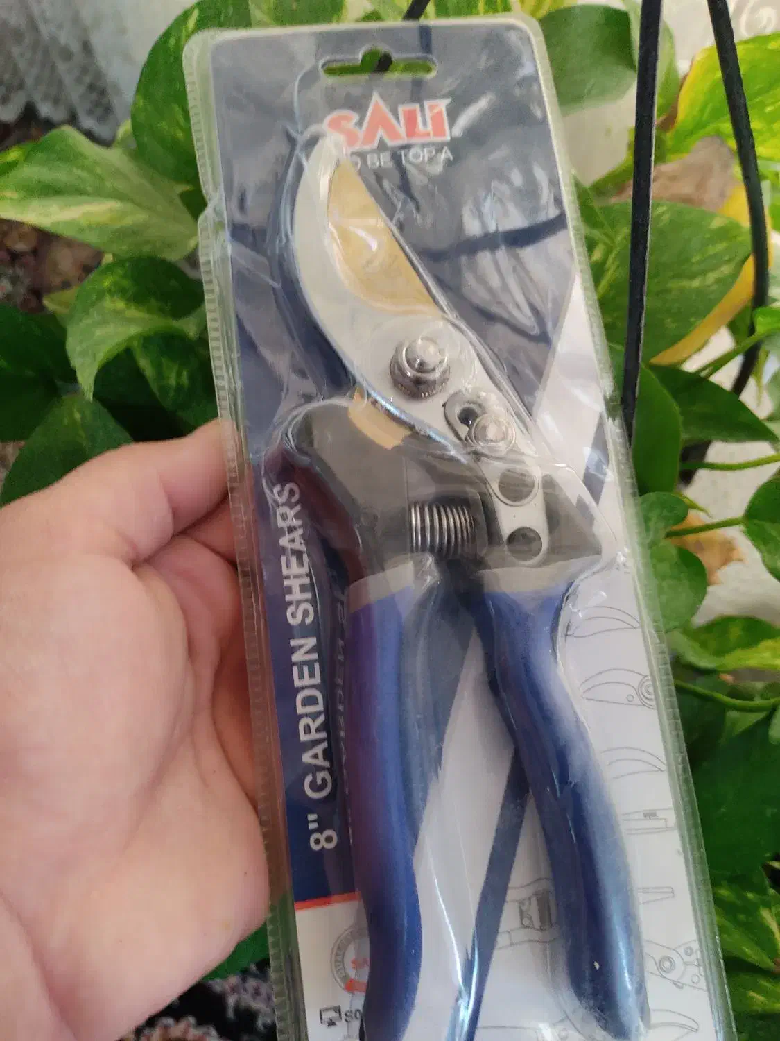 قیچی باغبانی|ابزارآلات|شیراز, پودنک|دیوار