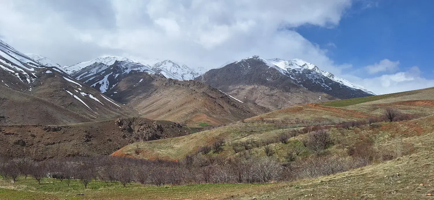 فروش زمینهای کشاورزی و باغ|فروش دفتر صنعتی، کشاورزی، تجاری|بروجرد, |دیوار