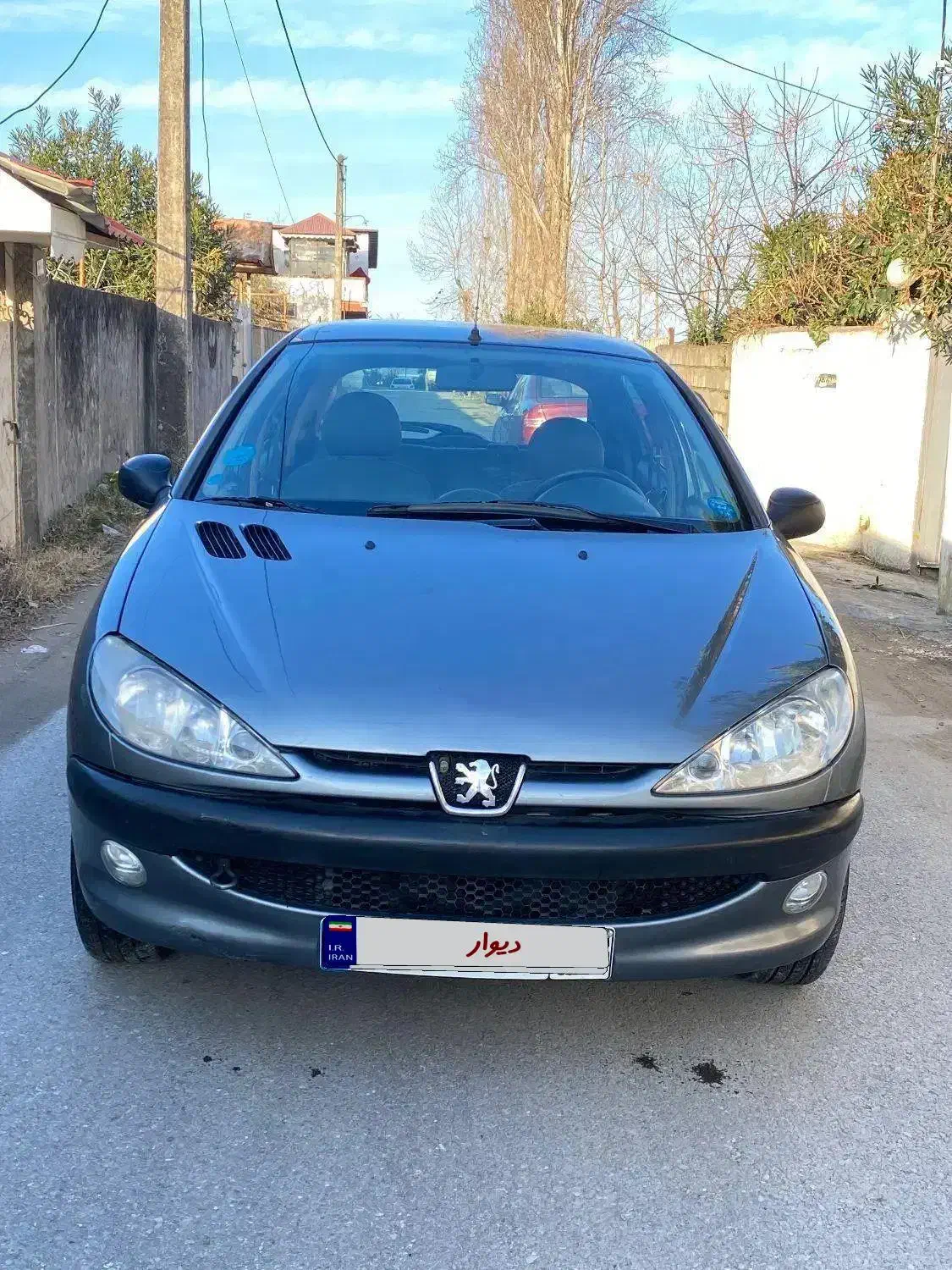 ۲۰۶ مدل ۸۶ بیرنگ|خودرو سواری و وانت|تنکابن, |دیوار