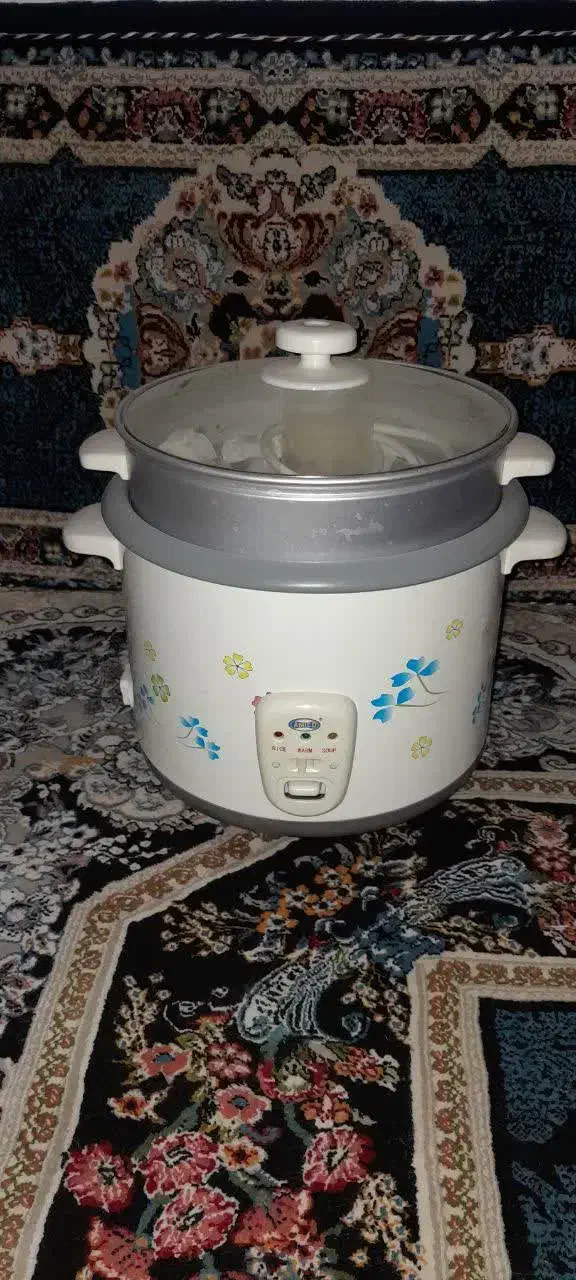 پلوپز نونو|اجاق گاز و لوازم برقی پخت‌وپز|قم, نیروگاه|دیوار