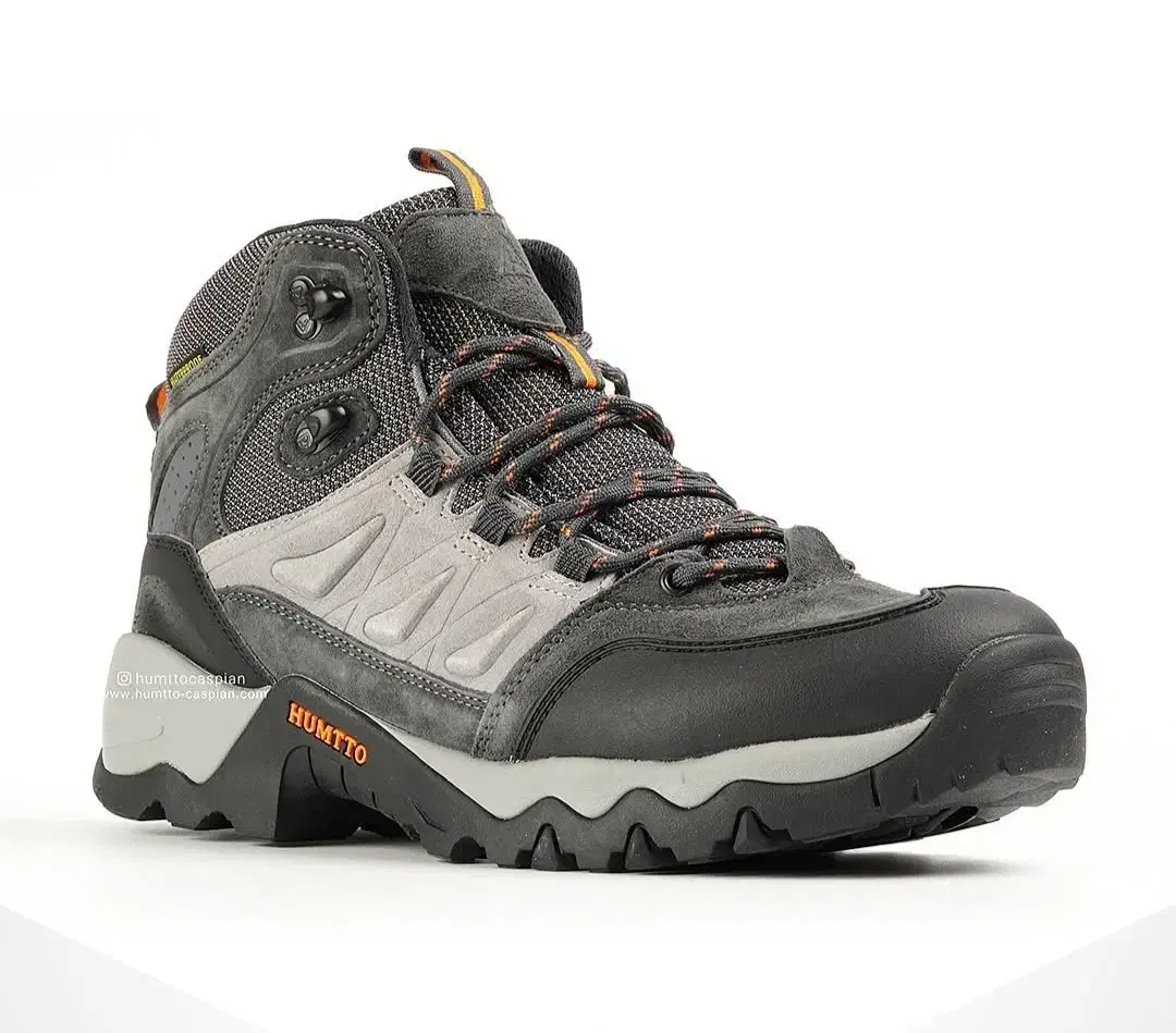 بوت|کیف، کفش، کمربند|زنجان, |دیوار