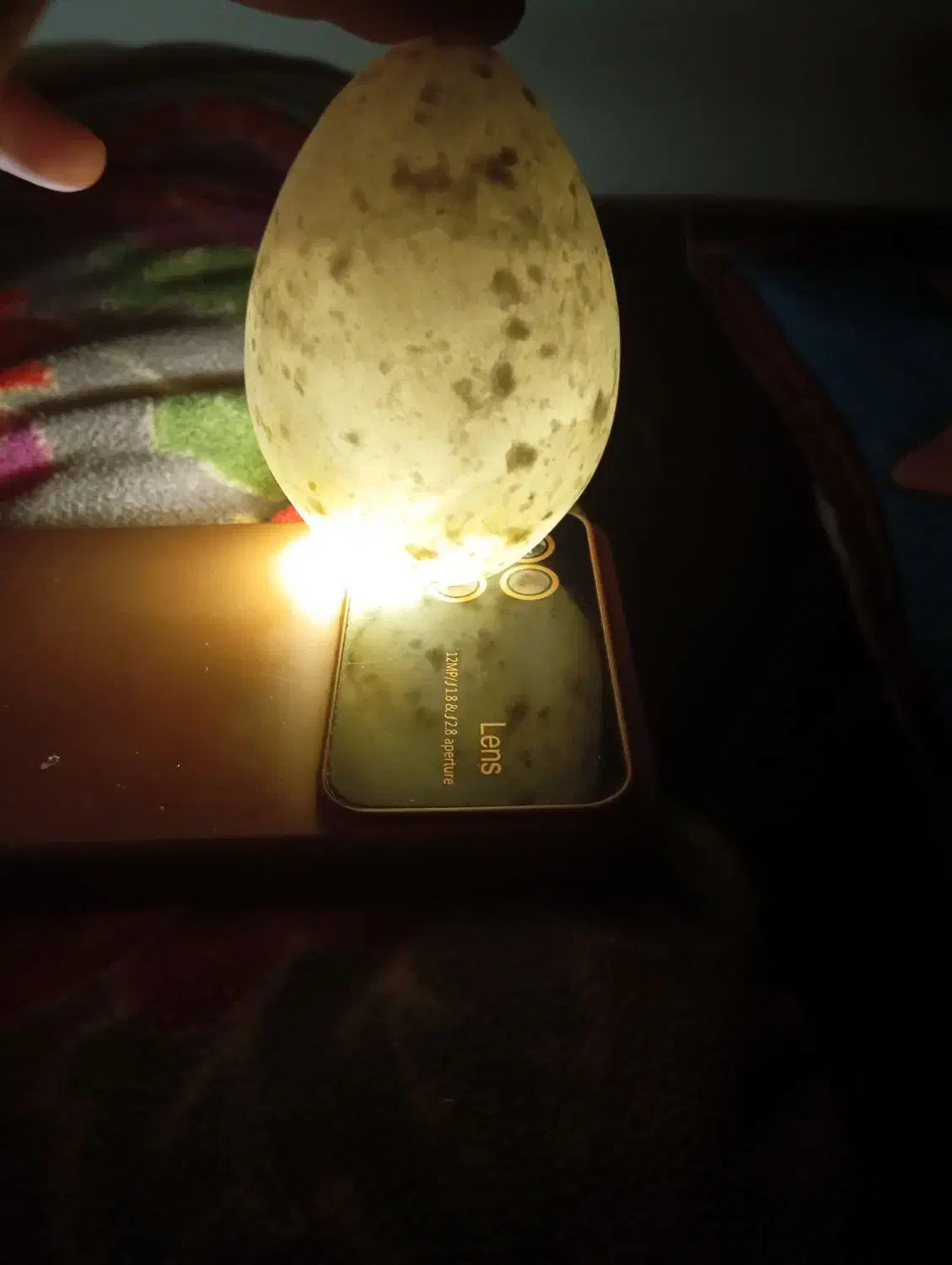 سنگ عتیقه|کلکسیون اشیاء عتیقه|سنندج, |دیوار