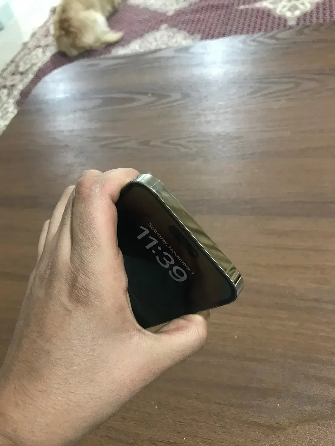 14promax با ریجستر|موبایل|اهواز, کیانپارس |دیوار