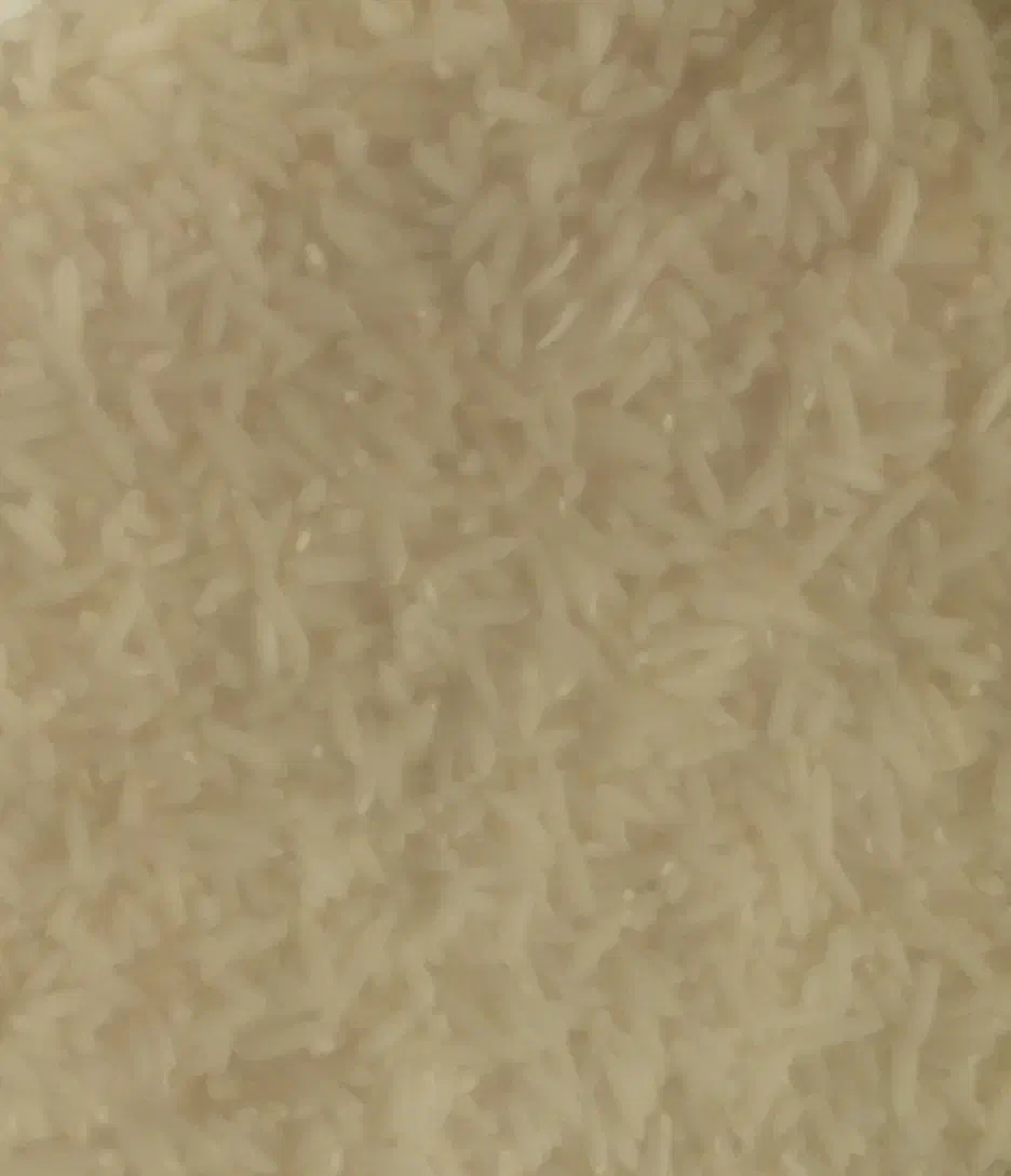 برنج هاشمی استارا|خوردنی و آشامیدنی|اردبیل, |دیوار