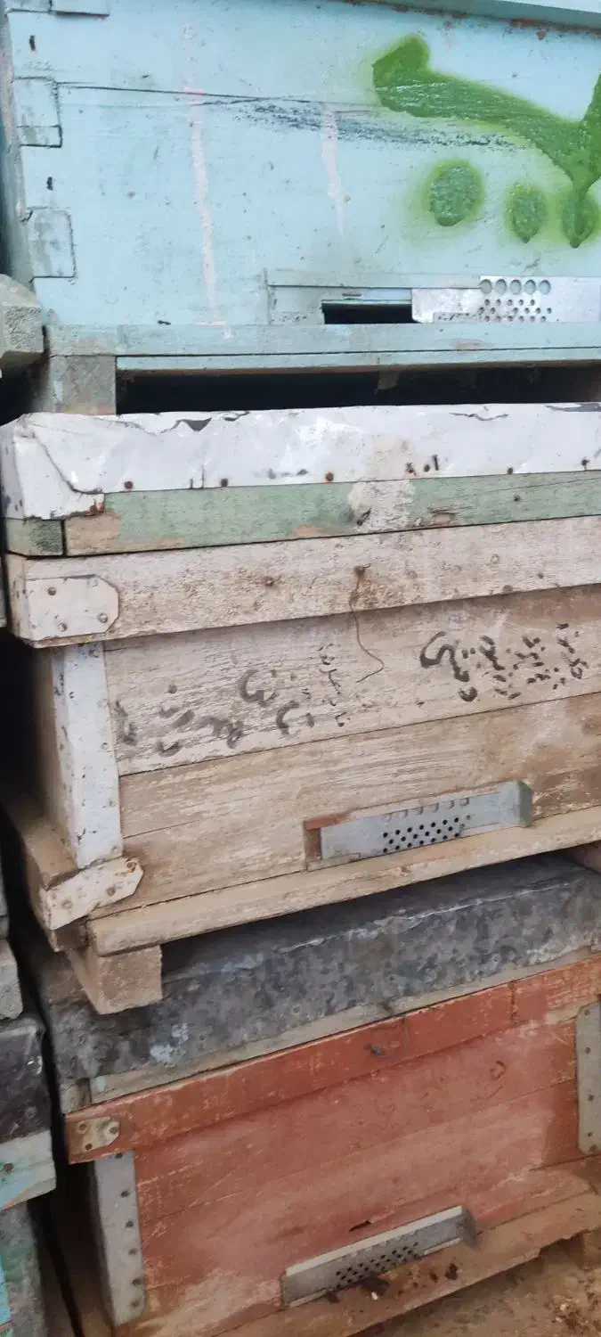 فروش کندو|لوازم جانبی حیوانات|گتوند, |دیوار