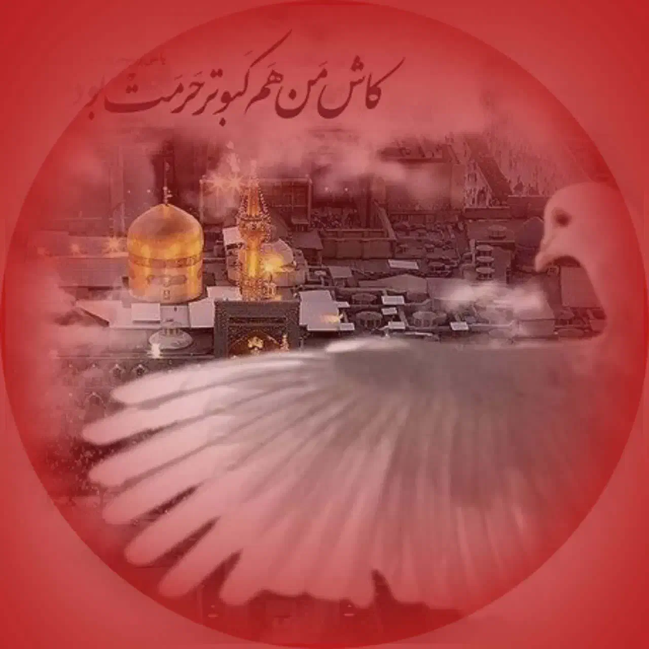 تورمشهد|تور و چارتر|مشکین‌دشت, |دیوار