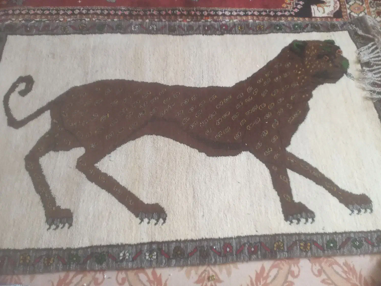 قالی دستبا ف|صنایع دستی و سایر لوازم تزئینی|کازرون, |دیوار