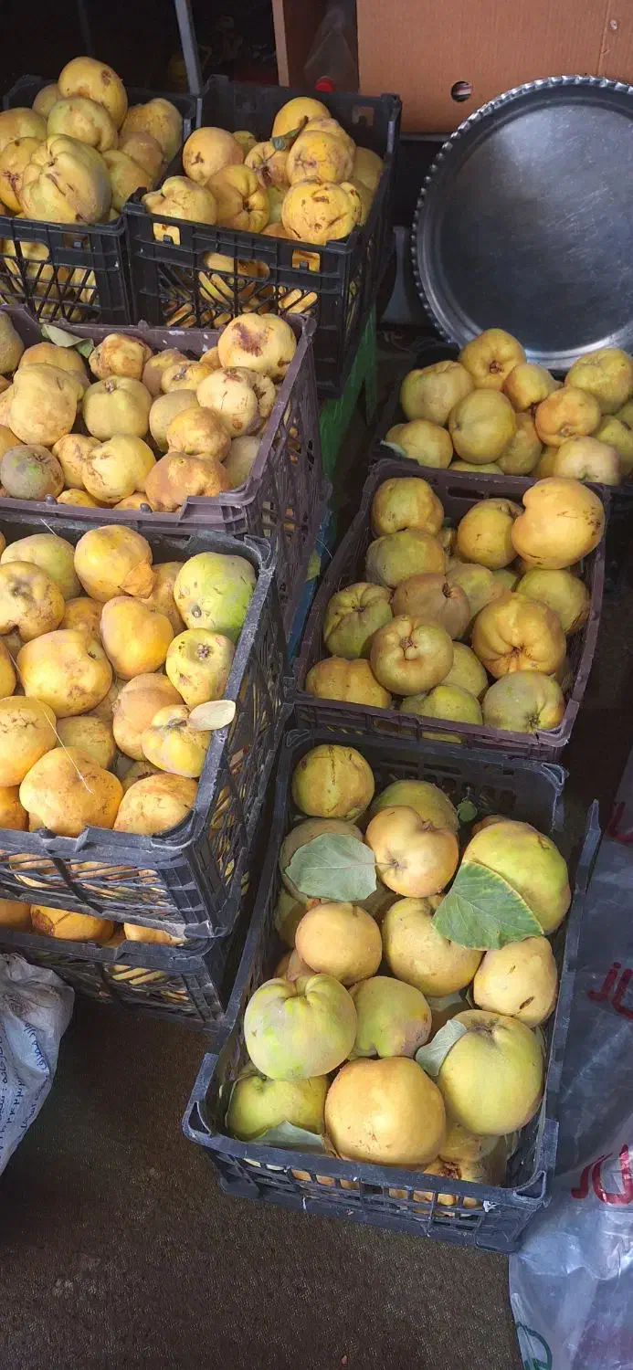 فروش به باکیفیت وارگانیک|خوردنی و آشامیدنی|یاسوج, |دیوار