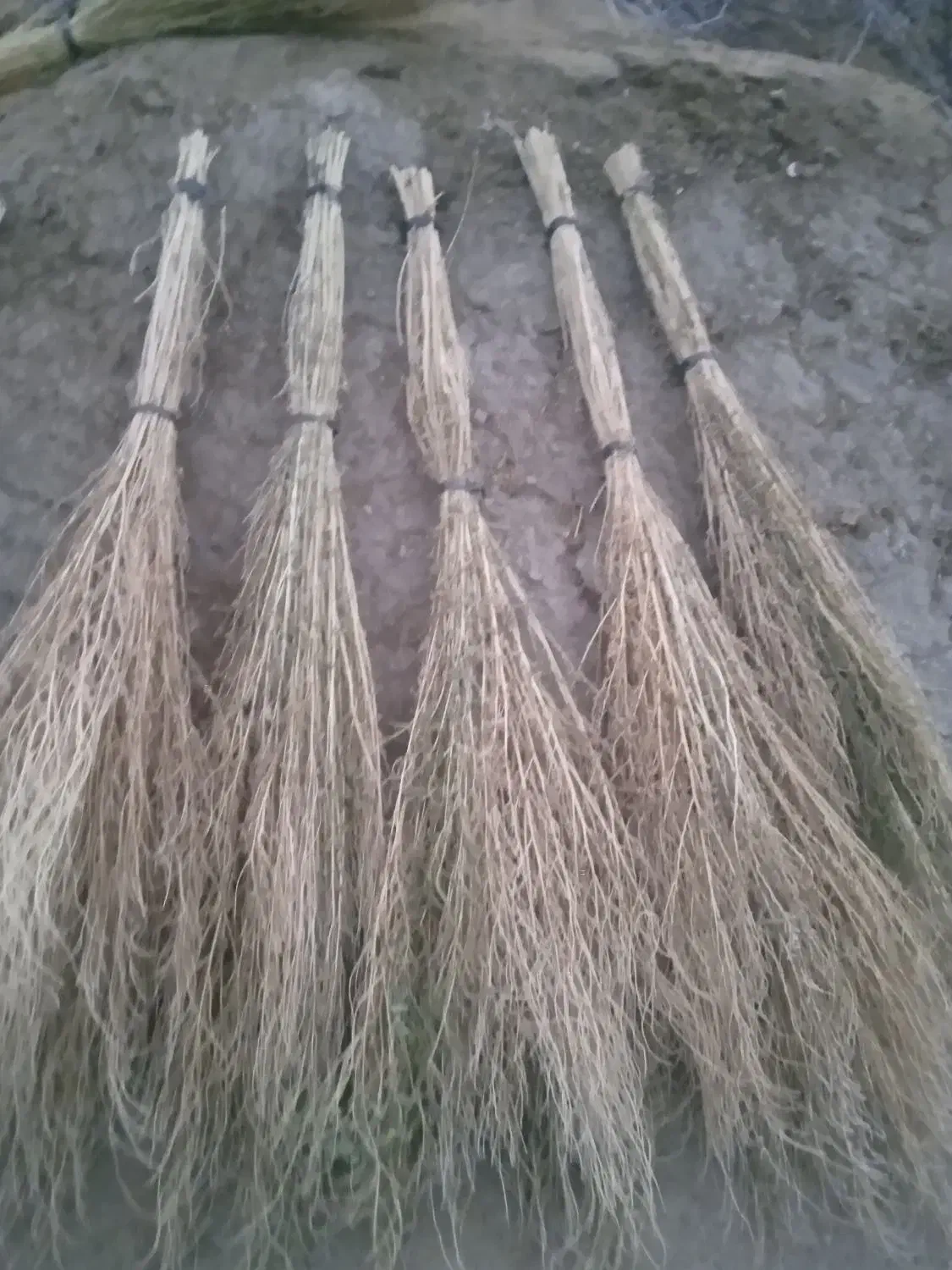 جارو|لوازم نظافت|تسوج, |دیوار