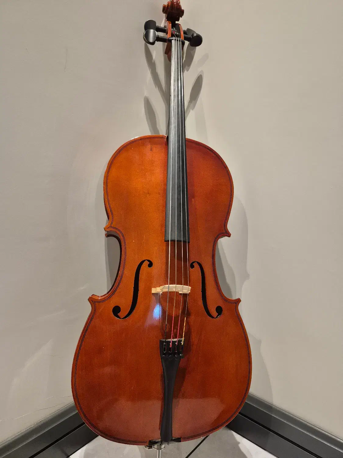 فروش ساز ویلنسل|ویولن|رشت, بلوار گیلان|دیوار