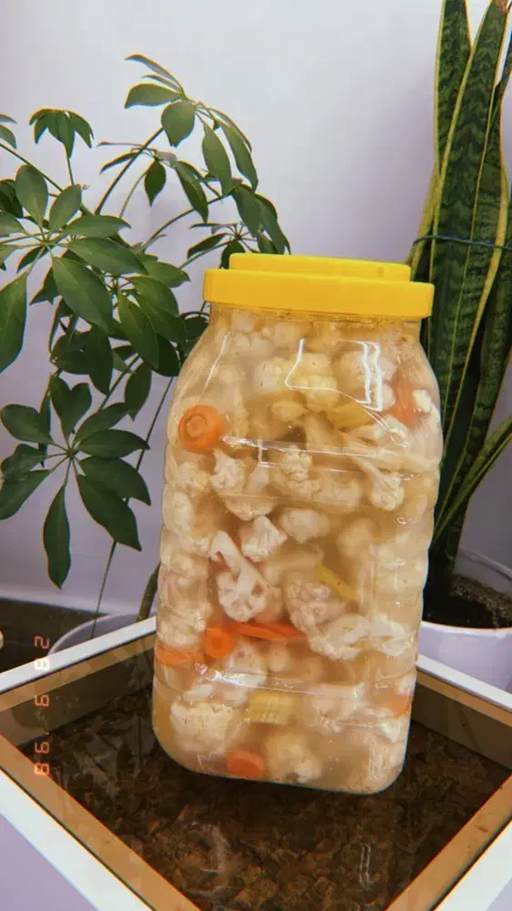 ترشیجات ارگانیک کوهیار|عمدهفروشی|سبزوار, خسروجرد|دیوار