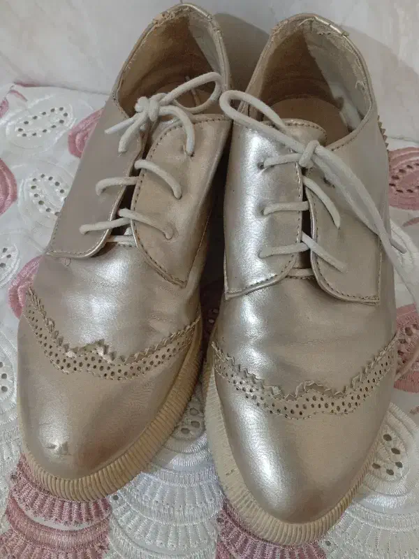 کفش|کیف، کفش، کمربند|بندر ماهشهر, |دیوار