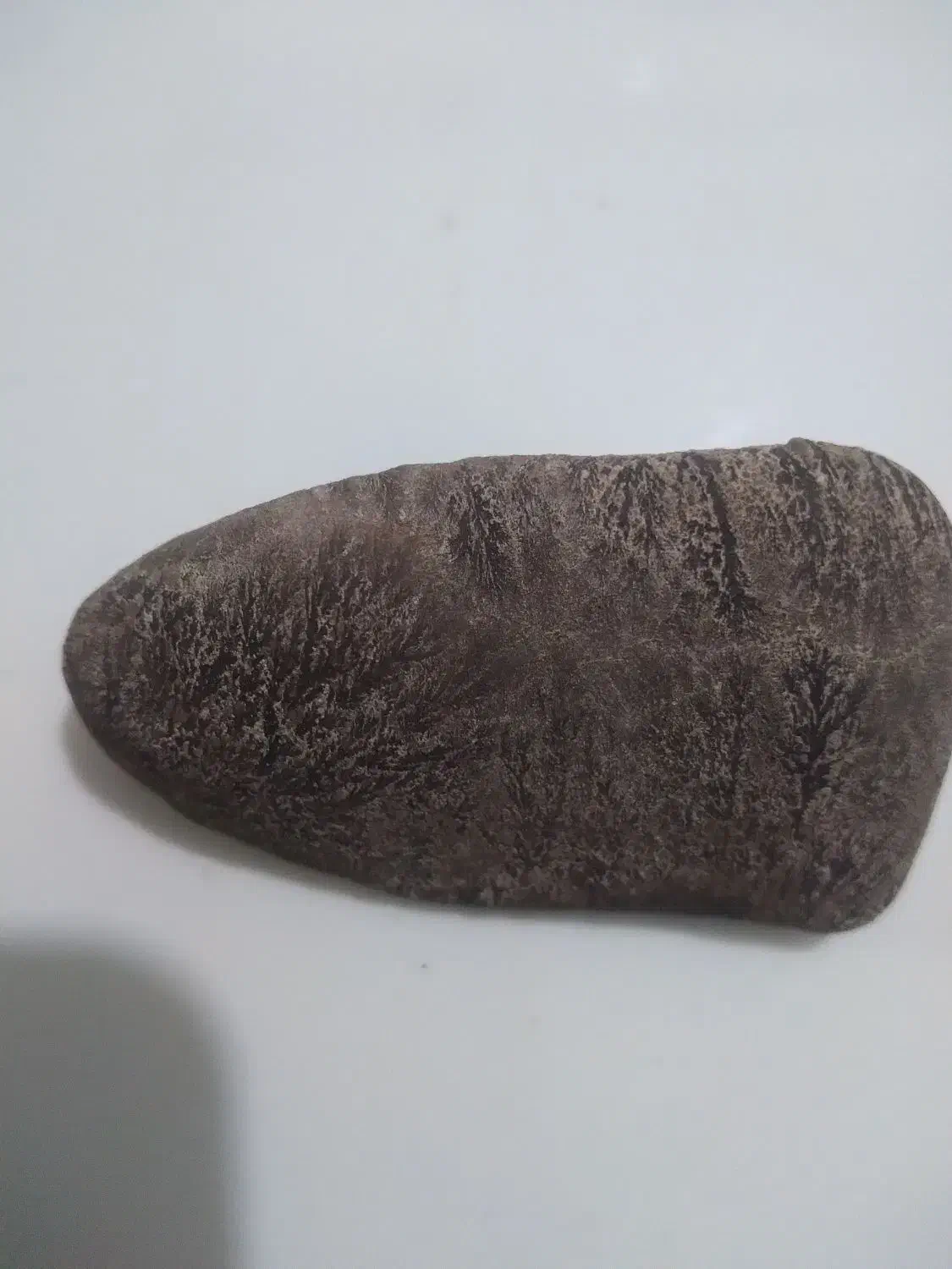 سنگ قدیمی|کلکسیون اشیاء عتیقه|گنبد کاووس, |دیوار