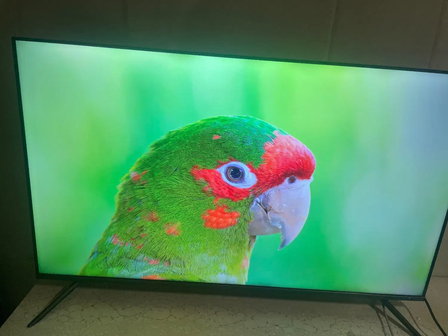 تلوزیون 50 اینچ جی پلاس4k اسمارت استوک نمایشگاهی|تلویزیون و پروژکتور|تهران, اکباتان|دیوار