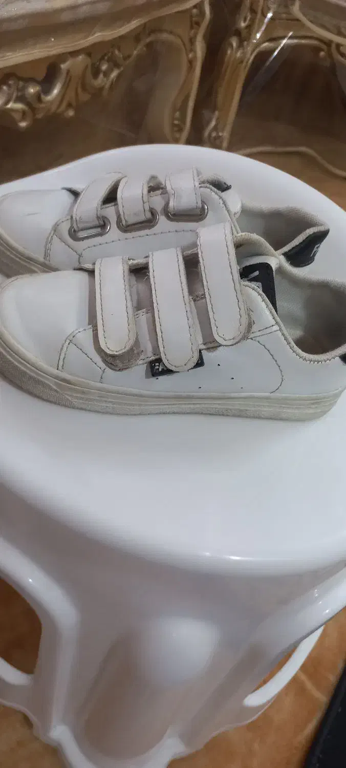 کفش ونس چسبی سایز۳۱|کفش و لباس بچه|کاشان, کارگر|دیوار