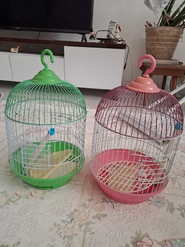 قفس استوانه کوچک|لوازم جانبی حیوانات|قرچک, شهرک گلها|دیوار